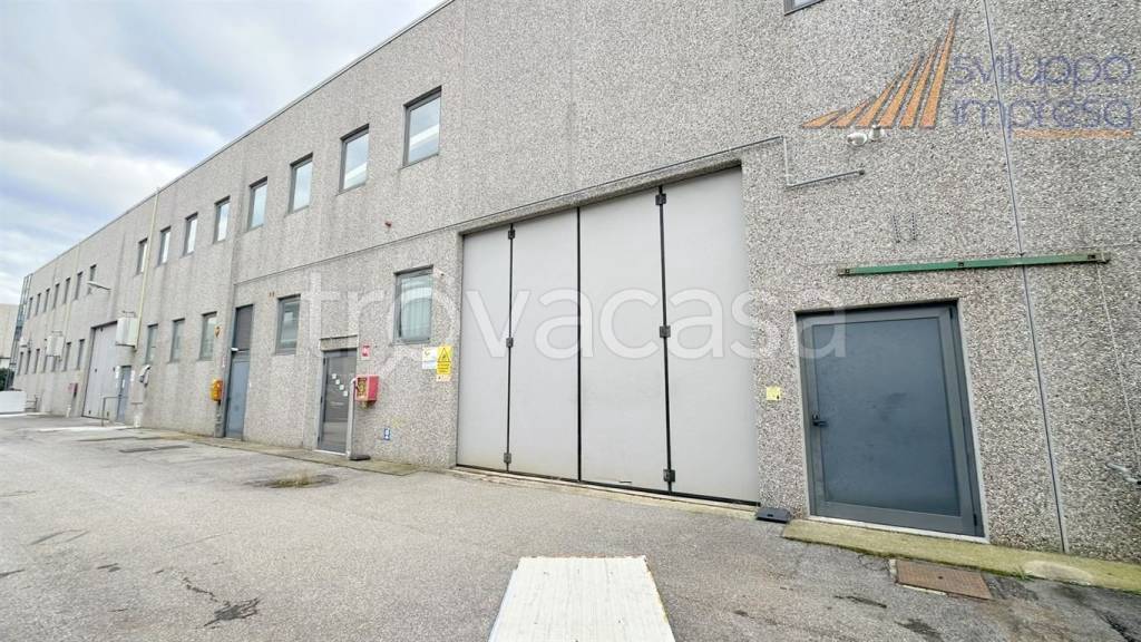 immagine annuncio 6 di 15