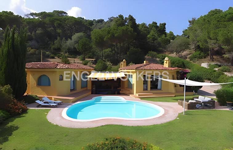 immagine annuncio 4 di 12