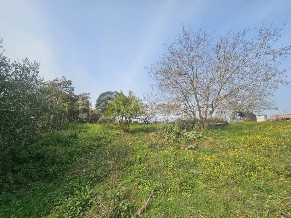 immagine annuncio 3 di 9