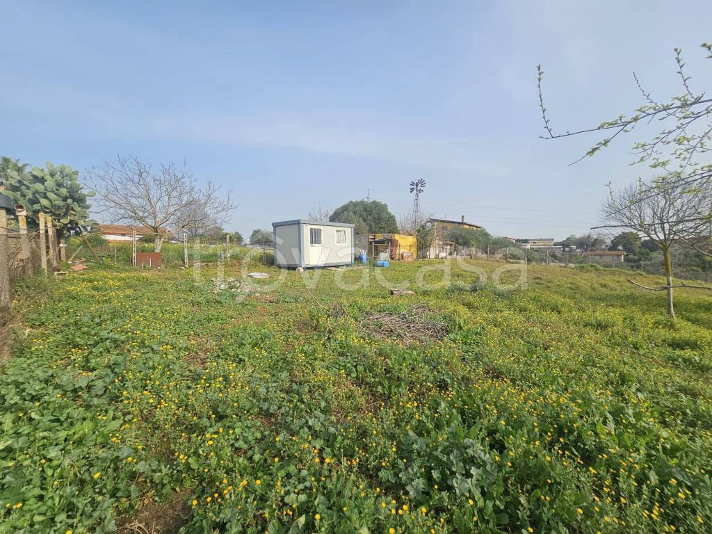 immagine annuncio 4 di 9