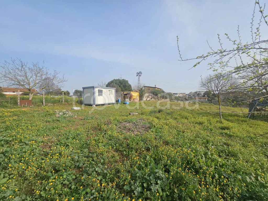 immagine annuncio 5 di 9