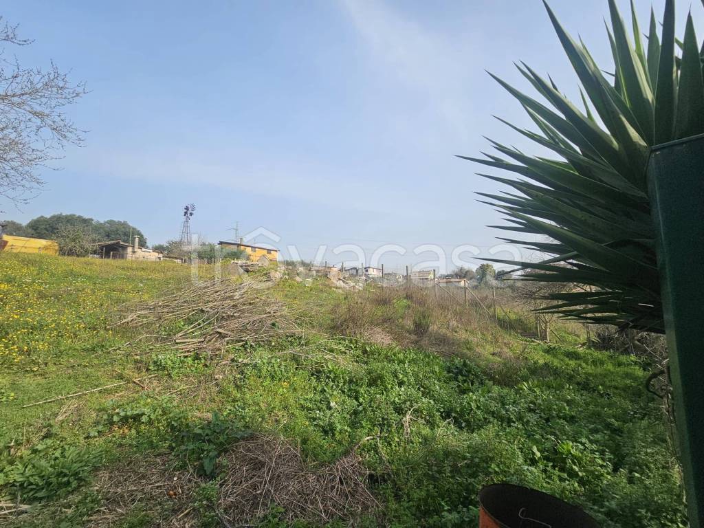 immagine annuncio 6 di 9