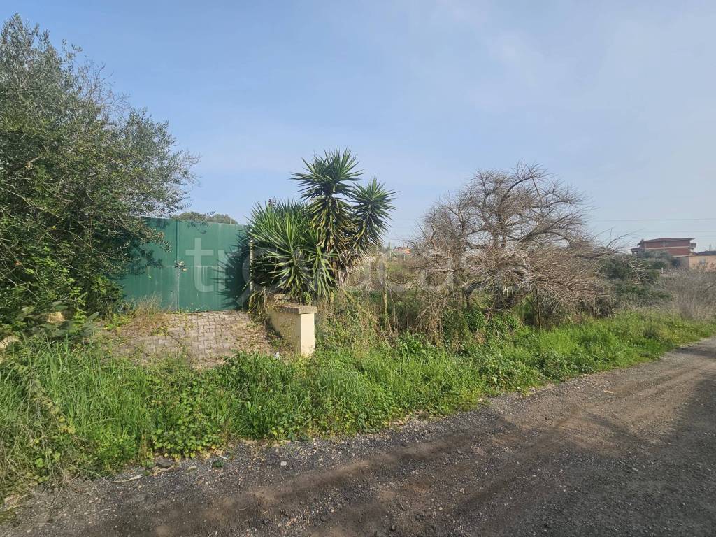 immagine annuncio 8 di 9