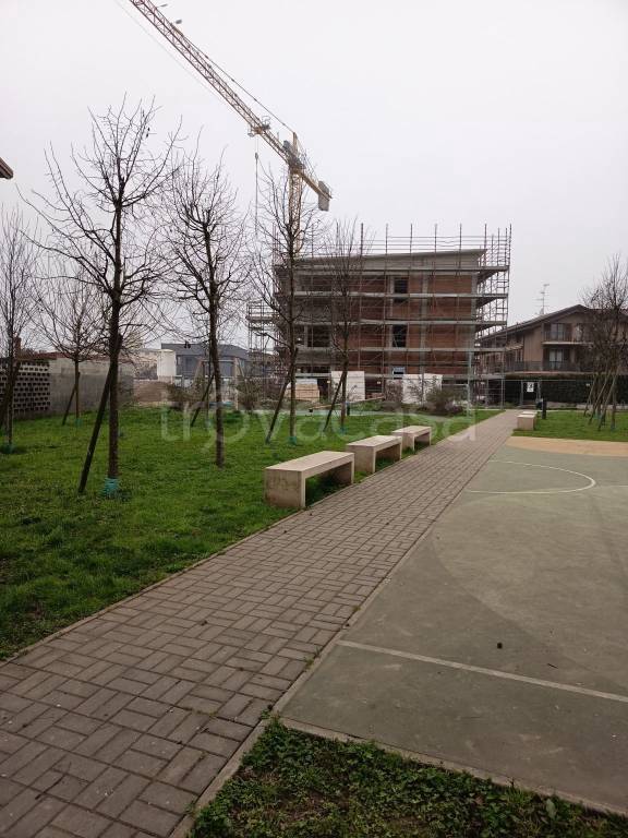 immagine annuncio 10 di 15