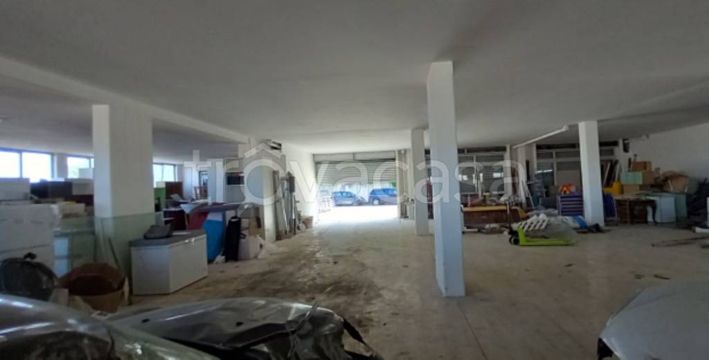 immagine annuncio 9 di 12