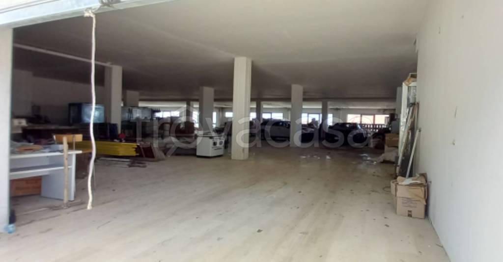 immagine annuncio 10 di 12