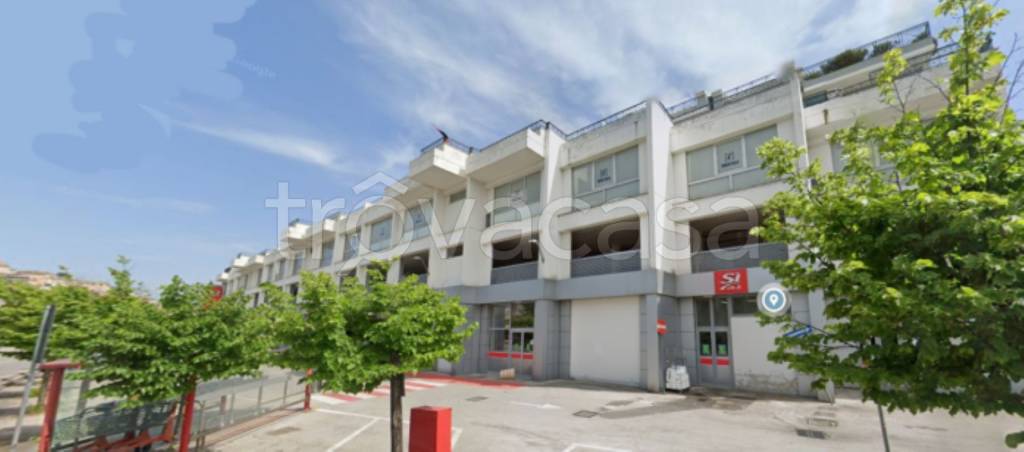 immagine annuncio 3 di 12