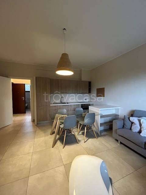 immagine annuncio 1 di 7