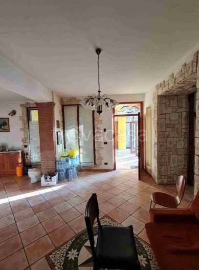 immagine annuncio 10 di 14