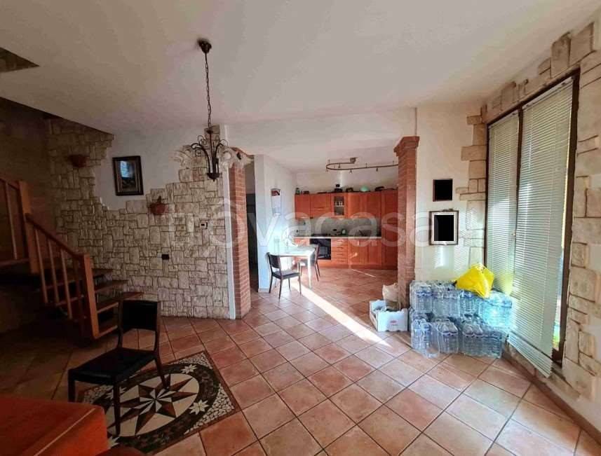 immagine annuncio 11 di 14