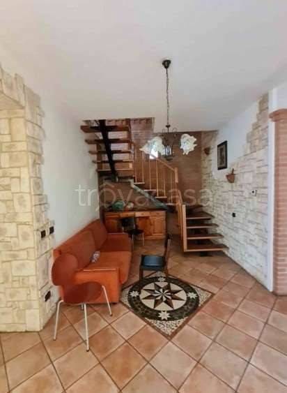 immagine annuncio 12 di 14