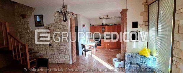 immagine annuncio 13 di 14