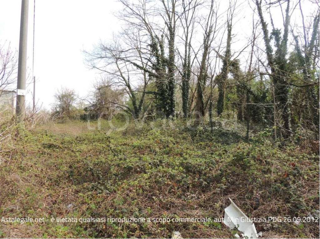 immagine annuncio 1 di 6