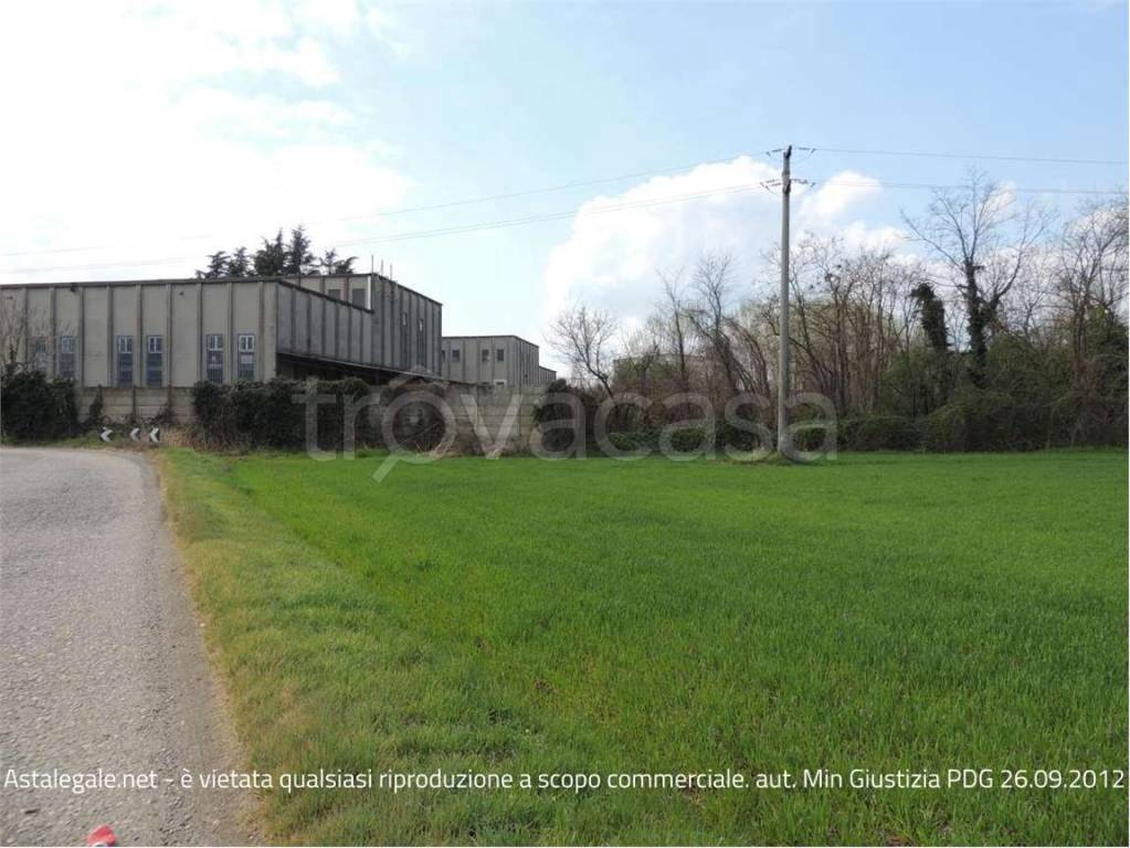 immagine annuncio 3 di 6