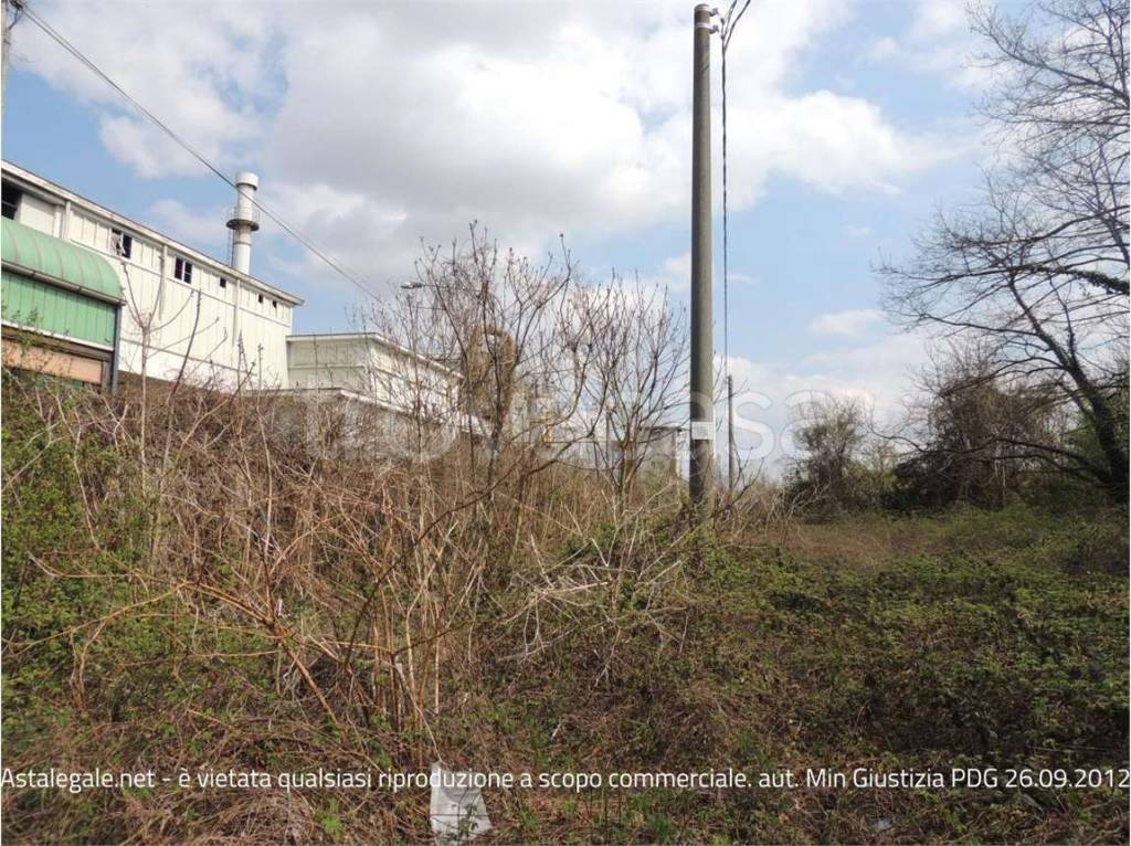 immagine annuncio 4 di 6