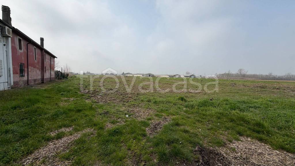 immagine annuncio 1 di 6