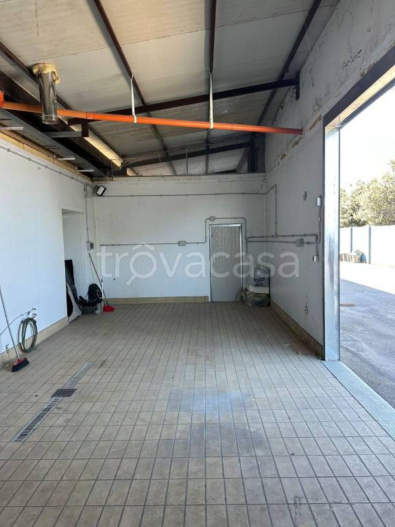 immagine annuncio 1 di 9