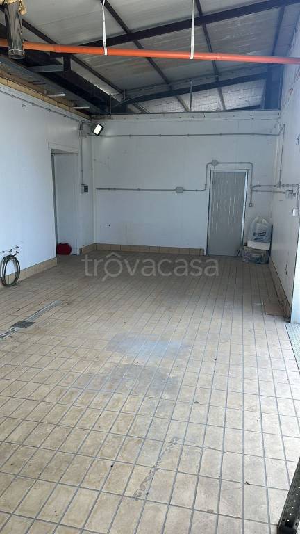 immagine annuncio 2 di 9