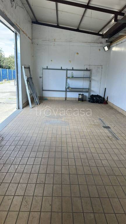 immagine annuncio 4 di 9