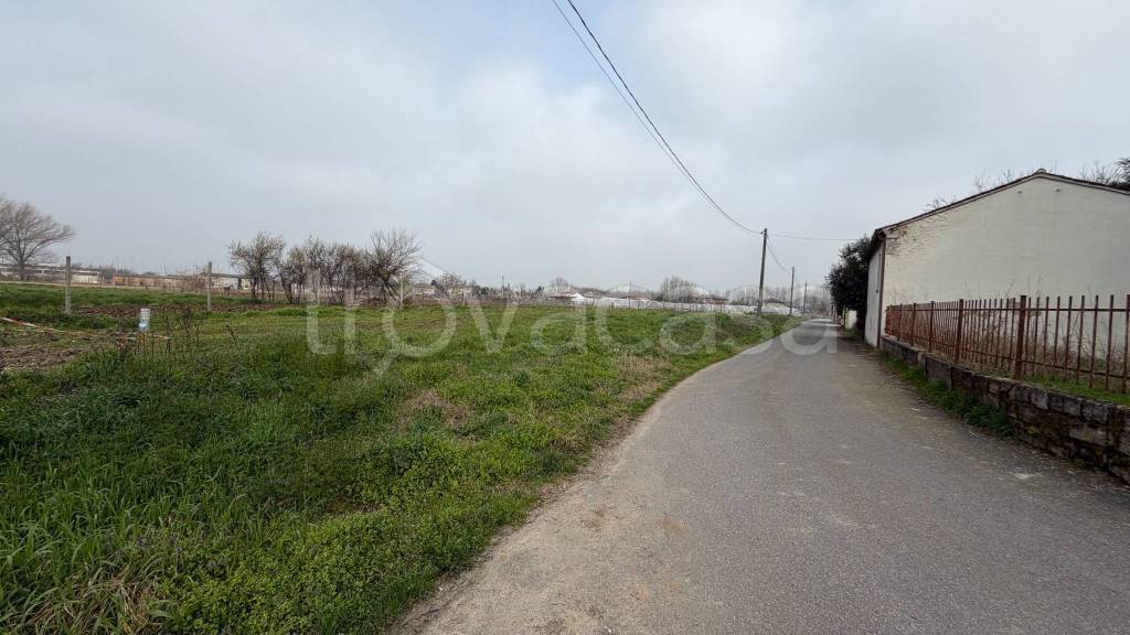 immagine annuncio 3 di 6