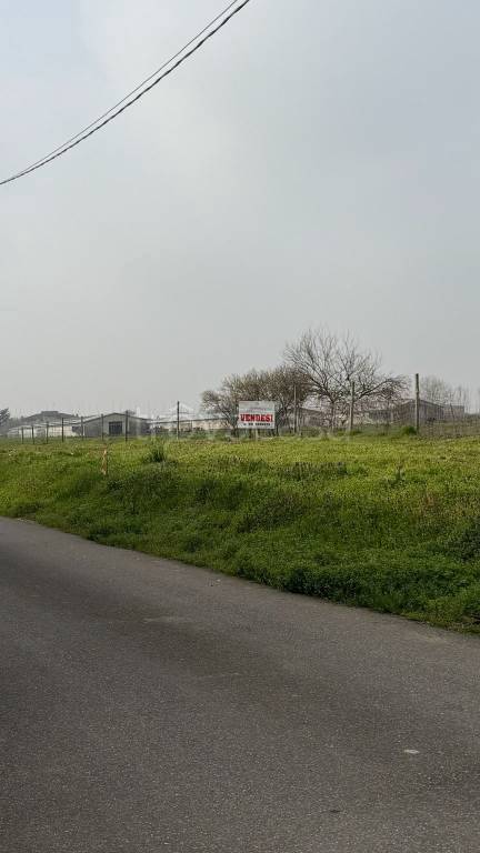 immagine annuncio 4 di 6