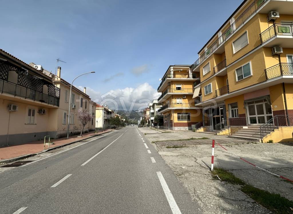 immagine annuncio 7 di 8