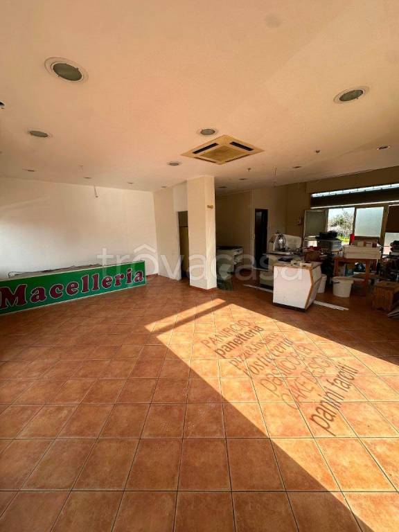 immagine annuncio 5 di 8