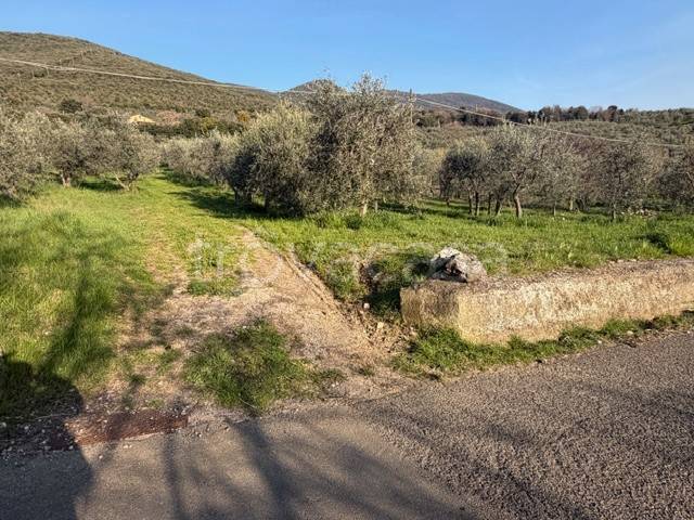 immagine annuncio 3 di 6