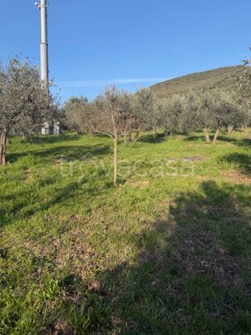 immagine annuncio 4 di 6