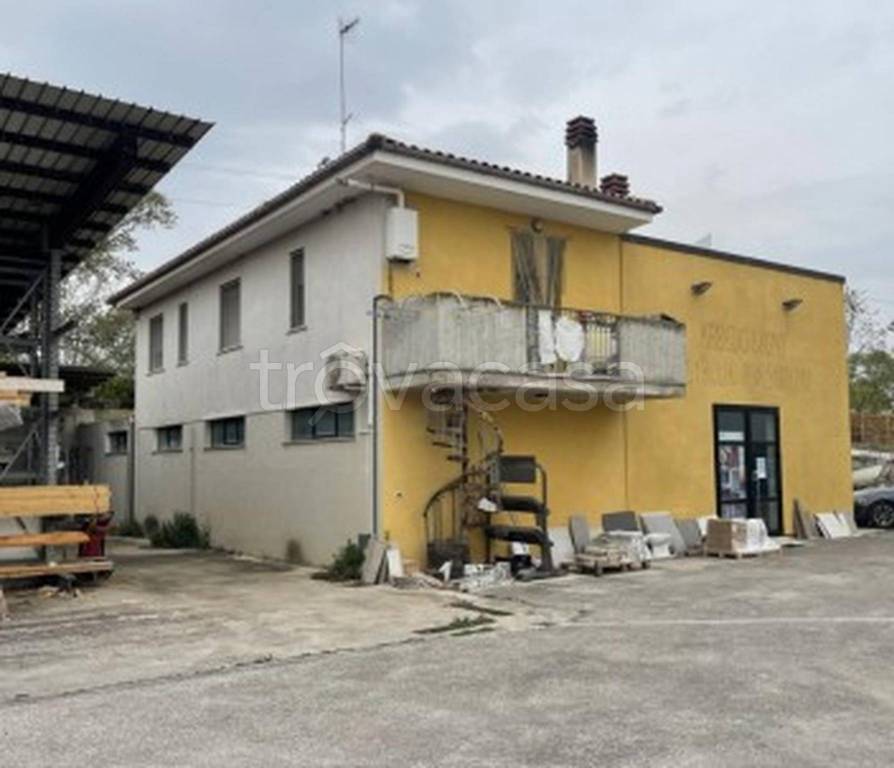 immagine annuncio 6 di 14