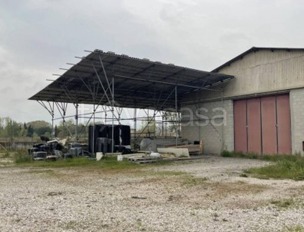 immagine annuncio 8 di 14