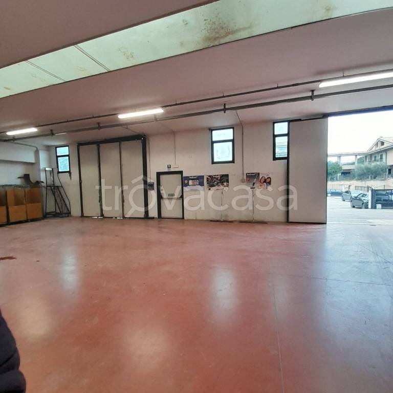 immagine annuncio 1 di 13