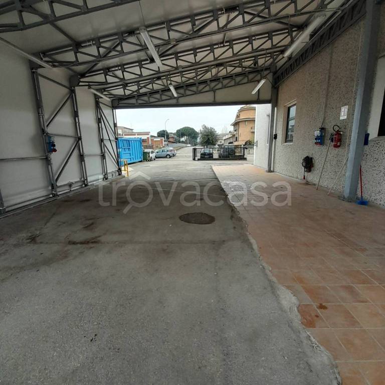 immagine annuncio 5 di 13