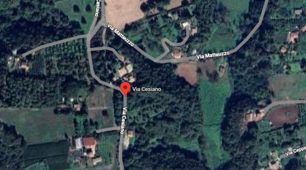 immagine annuncio 3 di 11