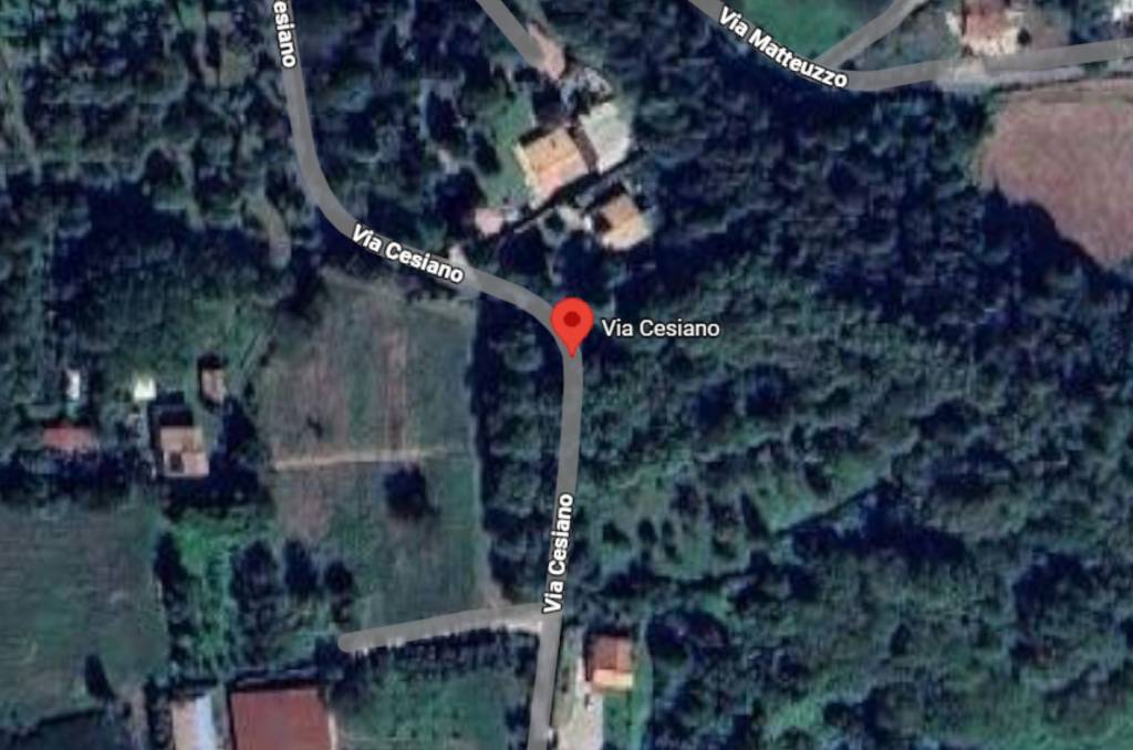 immagine annuncio 5 di 11