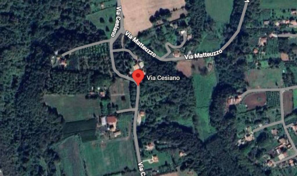 immagine annuncio 7 di 11