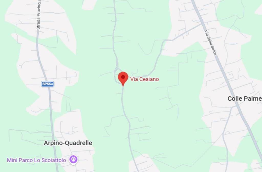 immagine annuncio 6 di 11