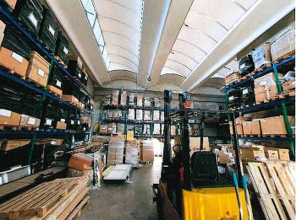 immagine annuncio 5 di 12