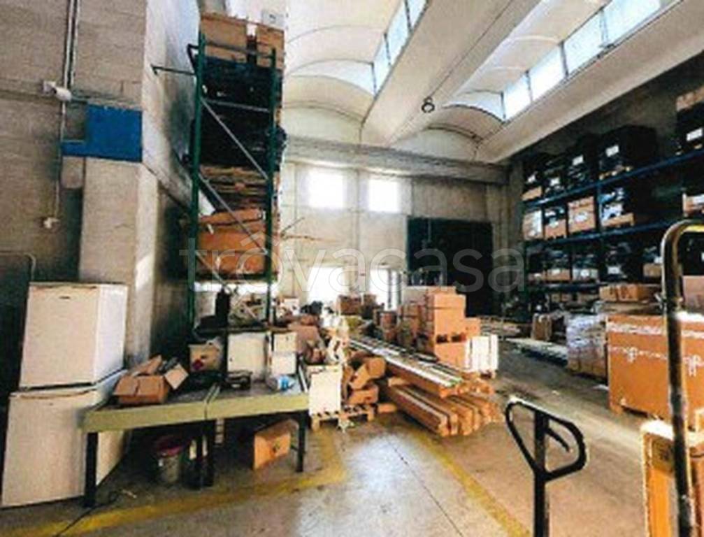 immagine annuncio 6 di 12