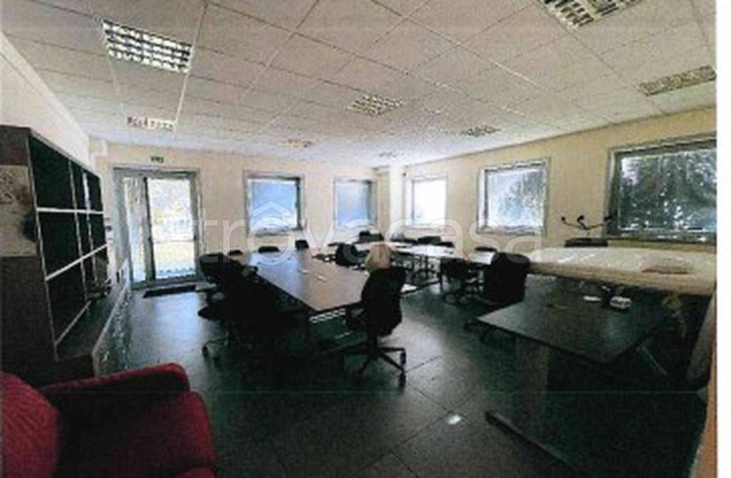 immagine annuncio 7 di 12