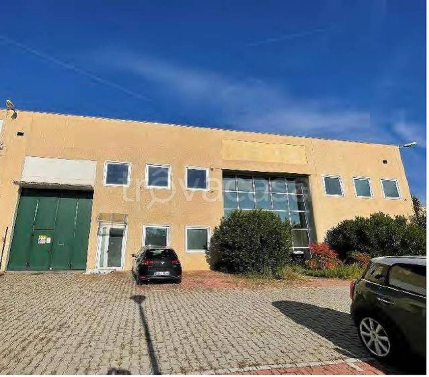 immagine annuncio 8 di 12