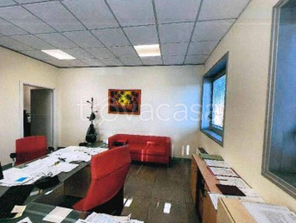 immagine annuncio 11 di 12