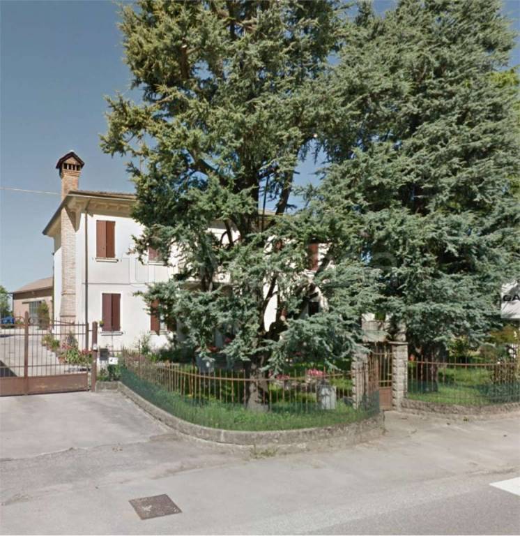 immagine annuncio 4 di 14