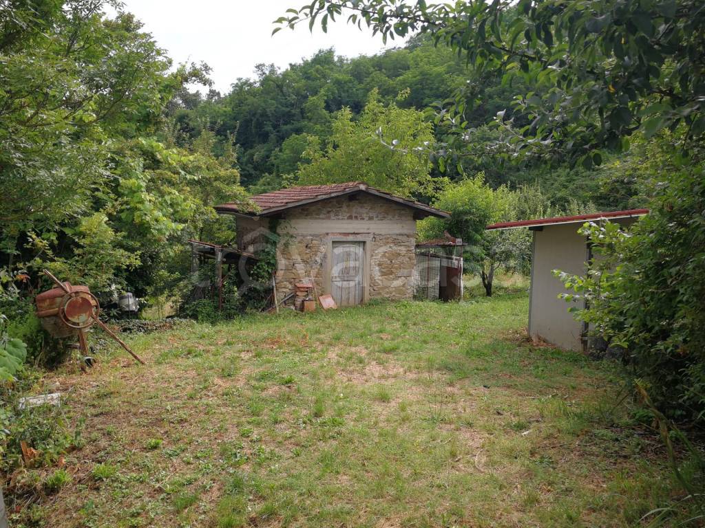 immagine annuncio 6 di 8