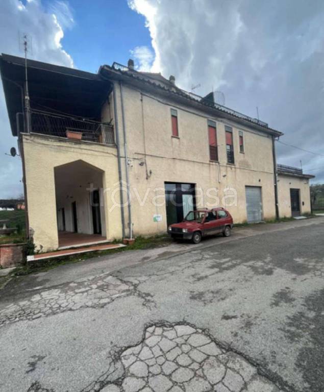 immagine annuncio 5 di 11