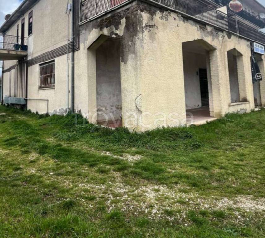 immagine annuncio 6 di 11