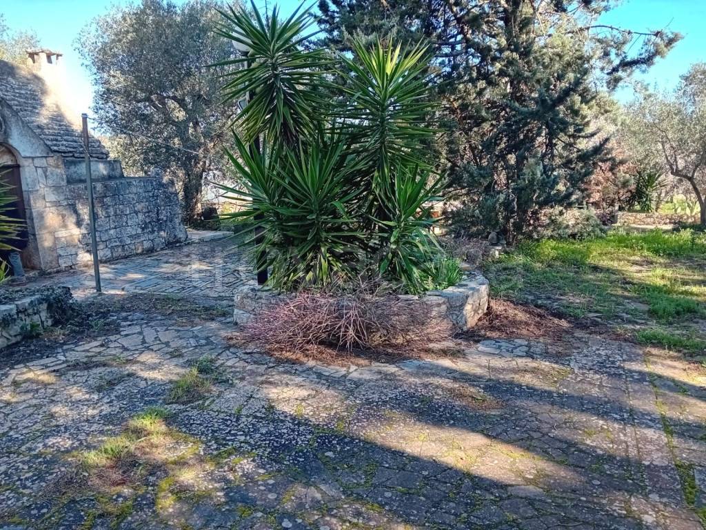 immagine annuncio 6 di 14