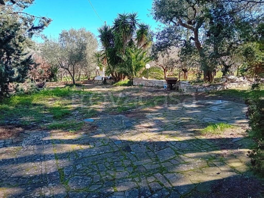 immagine annuncio 5 di 14