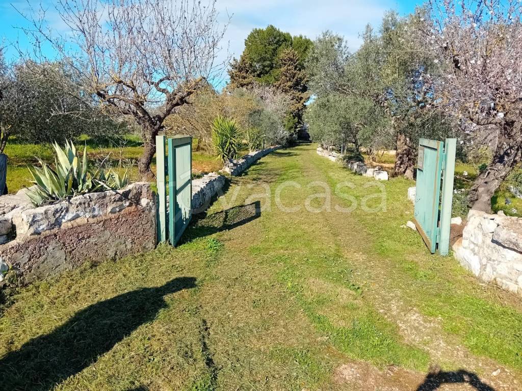 immagine annuncio 7 di 14