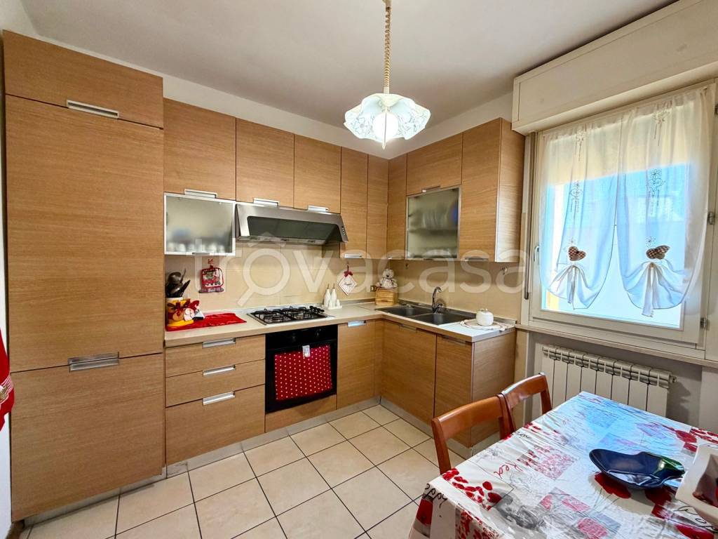 immagine annuncio 6 di 15